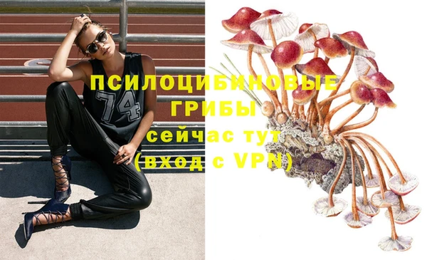круглые Нязепетровск