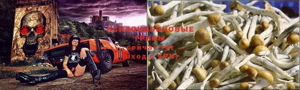 мескалин Няндома