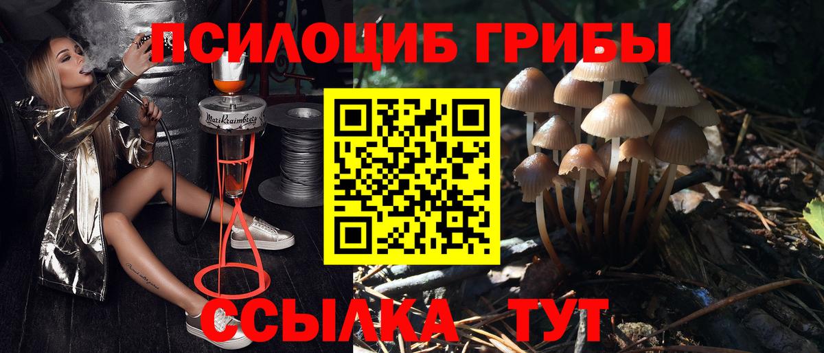 Марихуана  Вход с VPN  Советский  Конопля  МЕТАМФЕТАМИН  Сколько стоит  Гашиш  Меф МЯУ МЯУ   MDMA 