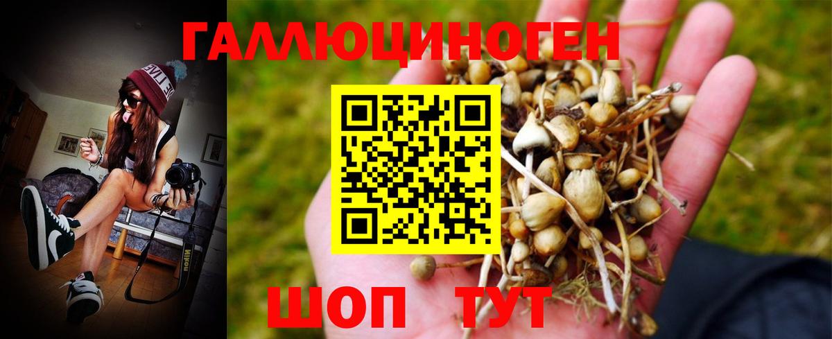 Галлюциногенные грибы мухоморы  Советский 